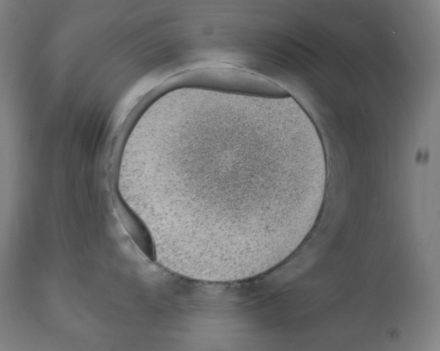 X0000112981104200910081104