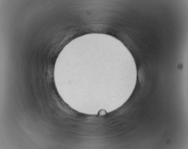 X0000112981107200910081103