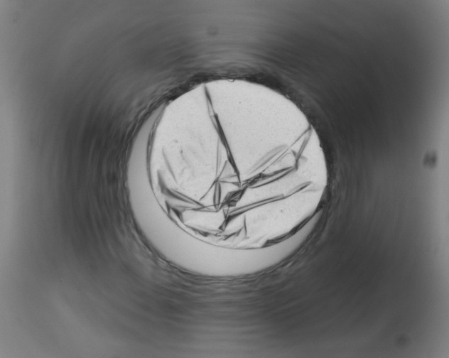 X0000112981108200910081103