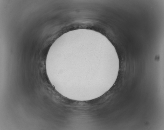 X0000112981109200910081103