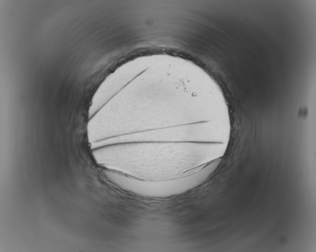 X0000112981110200910081103