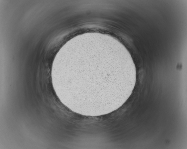 X0000112981111200910081103