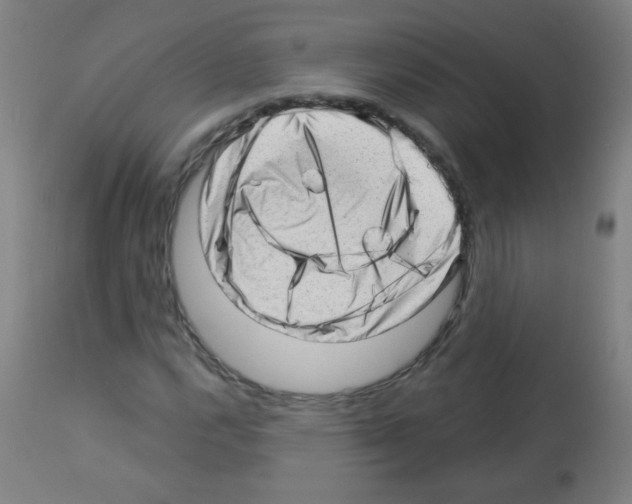 X0000112981112200910081103