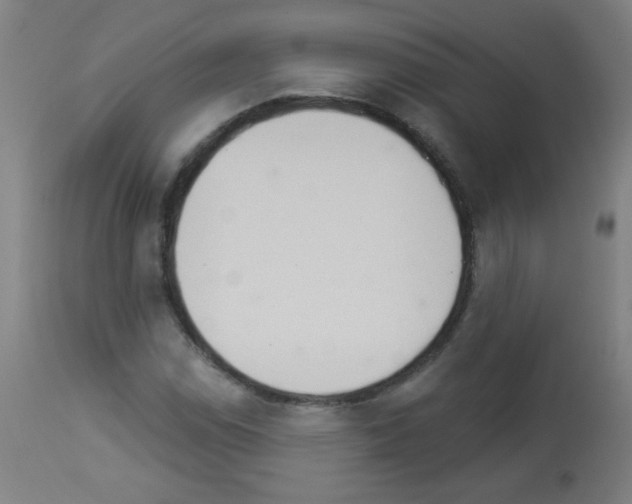 X0000112981114200910081103