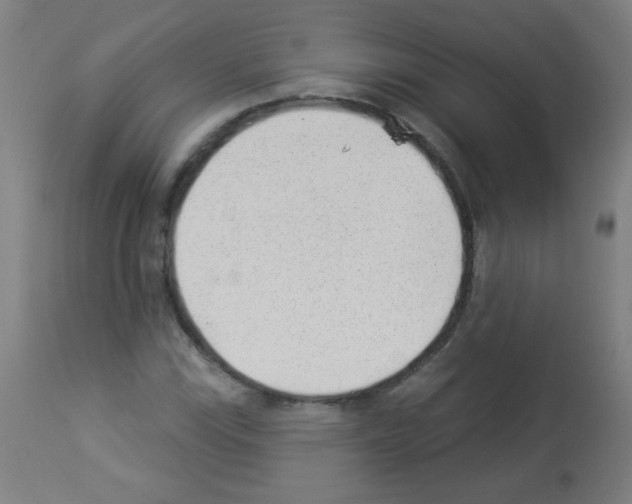 X0000112981115200910081103