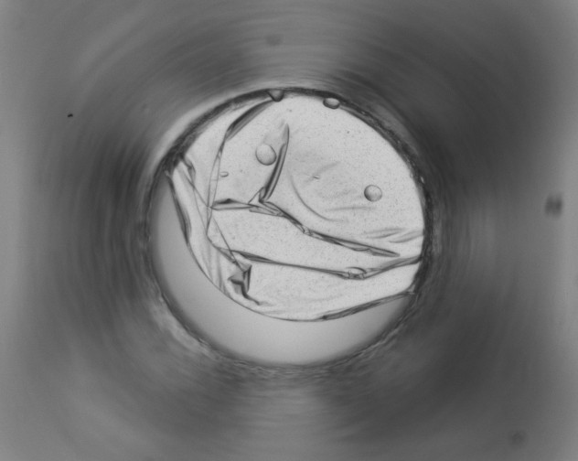 X0000112981116200910081103