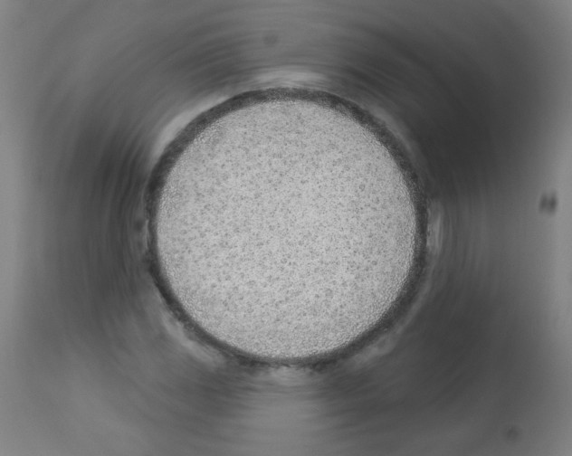 X0000112981117200910081103