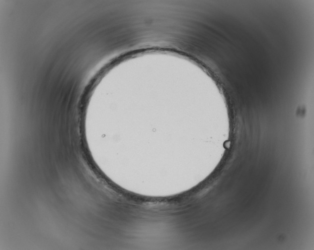 X0000112981118200910081103