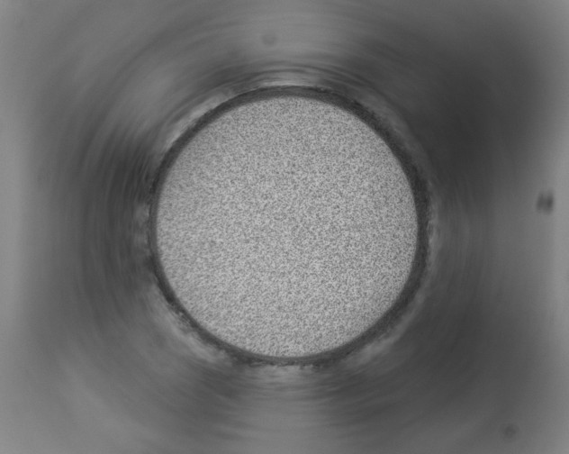 X0000112981121200910081103