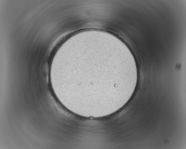 X0000112981123200910081103