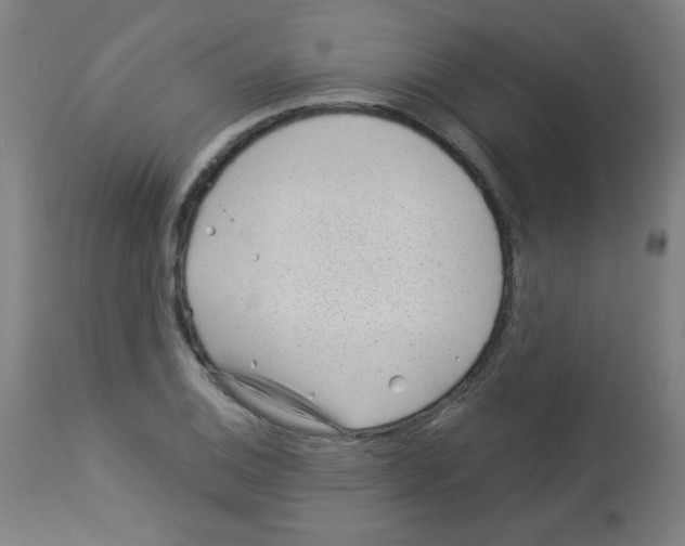 X0000112981124200910081103