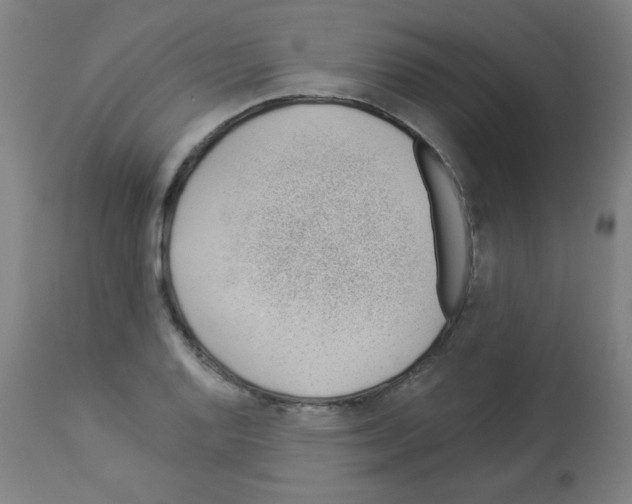 X0000112981128200910081103