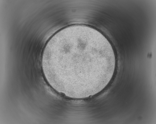 X0000112981129200910081103