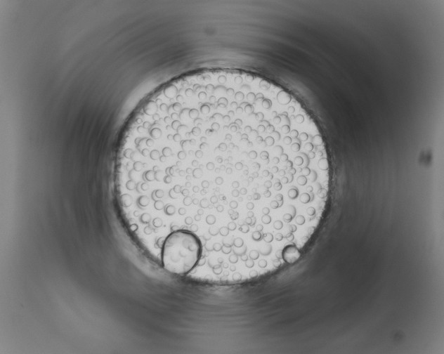 X0000112981130200910081103