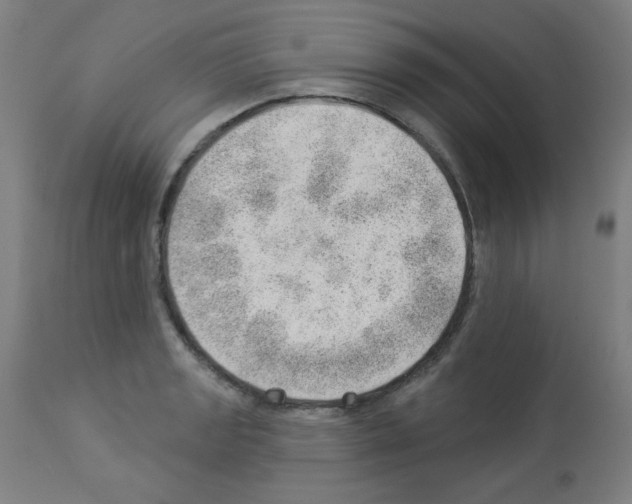 X0000112981133200910081104
