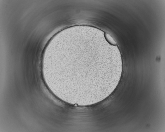 X0000112981142200910081104