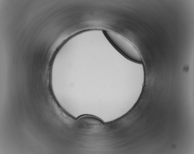 X0000112981144200910081104