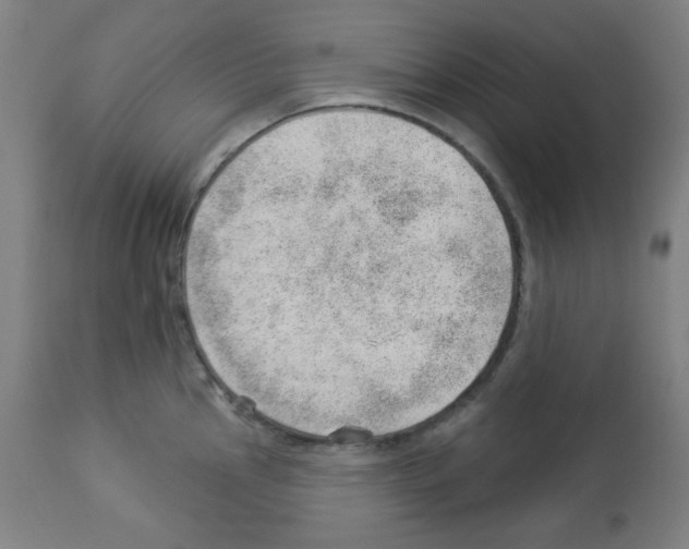X0000112981145200910081104