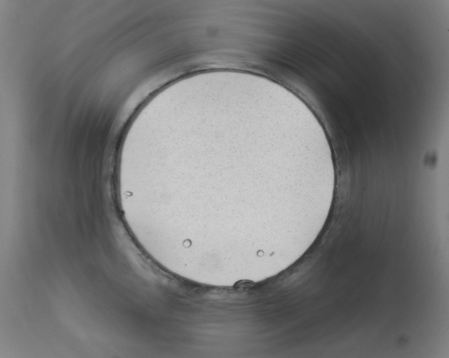 X0000112981146200910081104