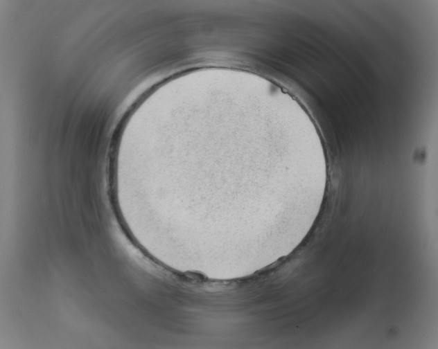 X0000112981147200910081104