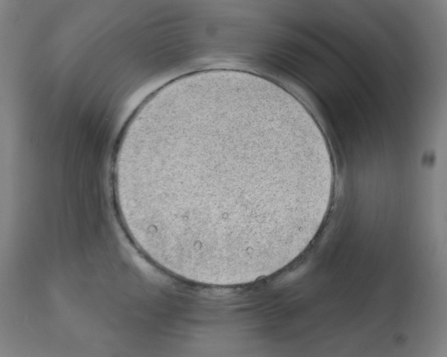 X0000112981149200910081104