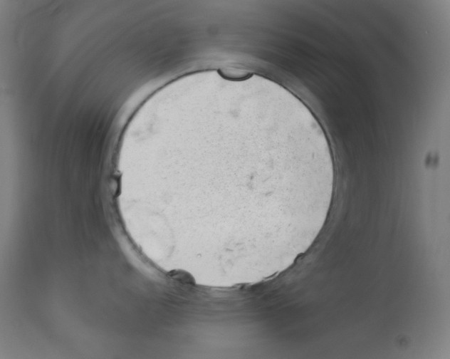 X0000112981152200910081104