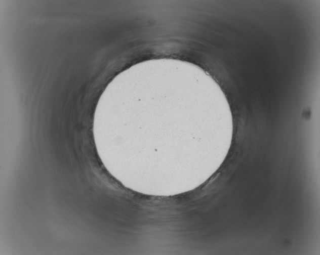 X0000112981153200910081103