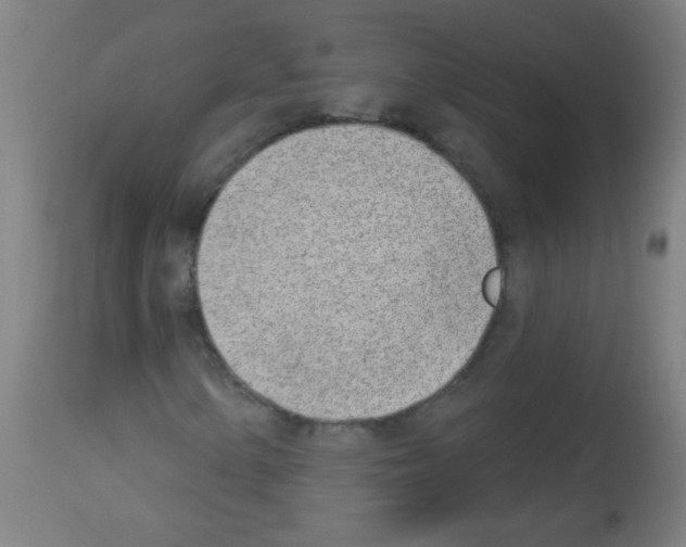X0000112981154200910081103