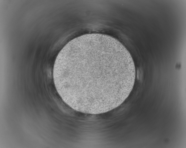 X0000112981155200910081103