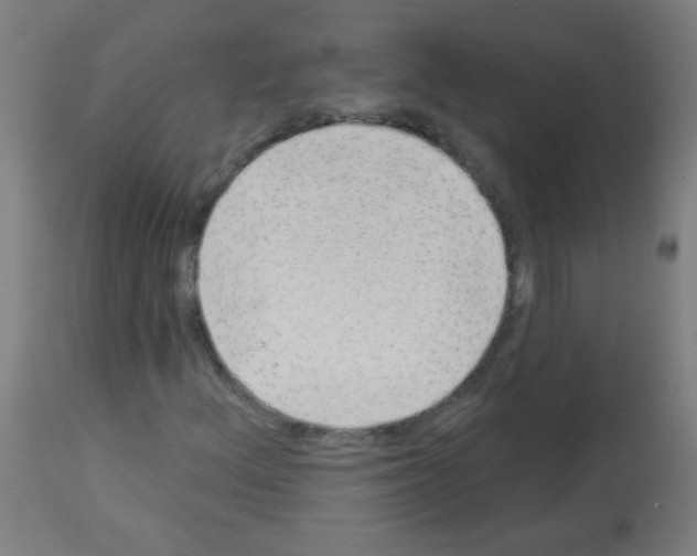 X0000112981156200910081103