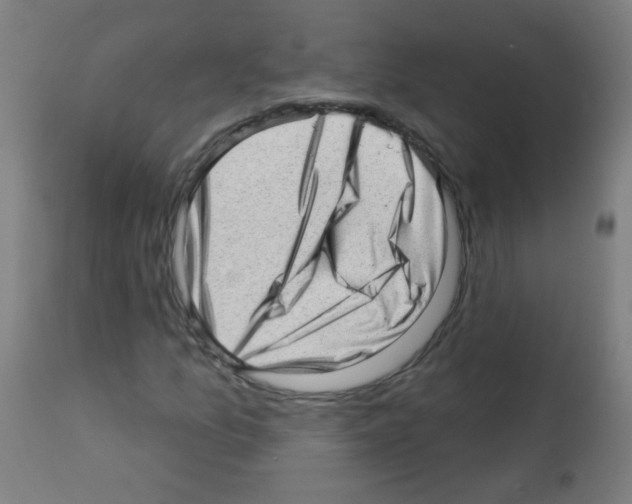 X0000112981157200910081103