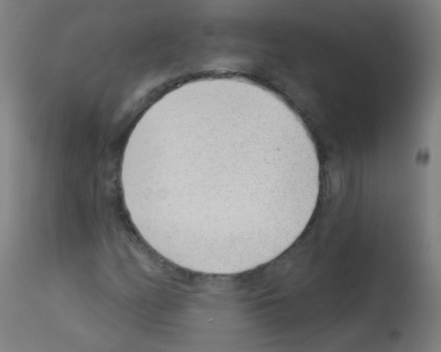 X0000112981158200910081103