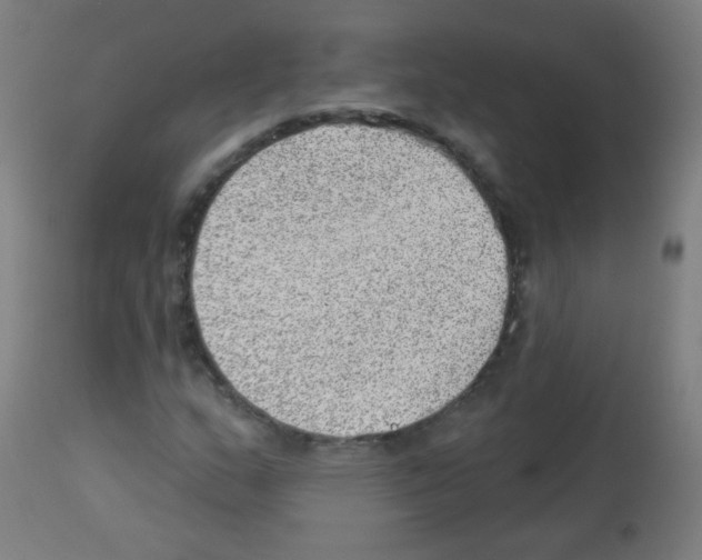 X0000112981159200910081103