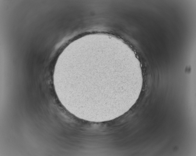 X0000112981160200910081103