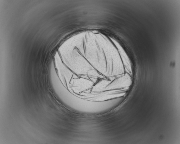 X0000112981161200910081103