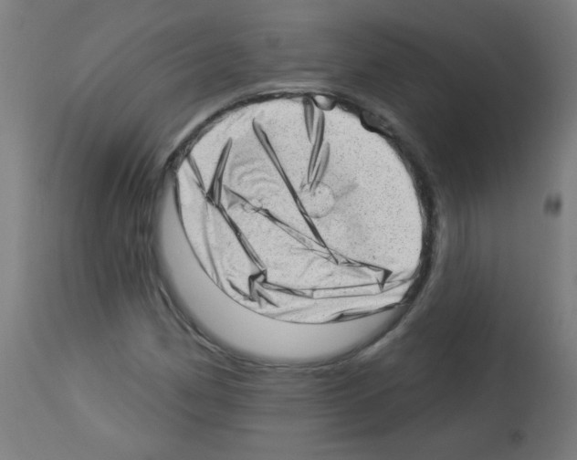 X0000112981162200910081103