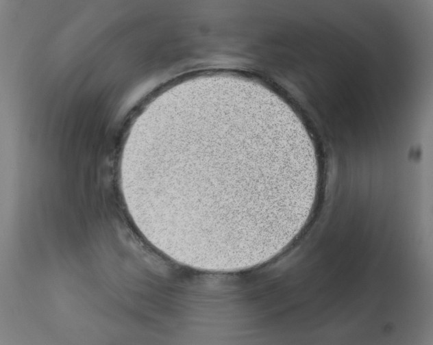 X0000112981163200910081103