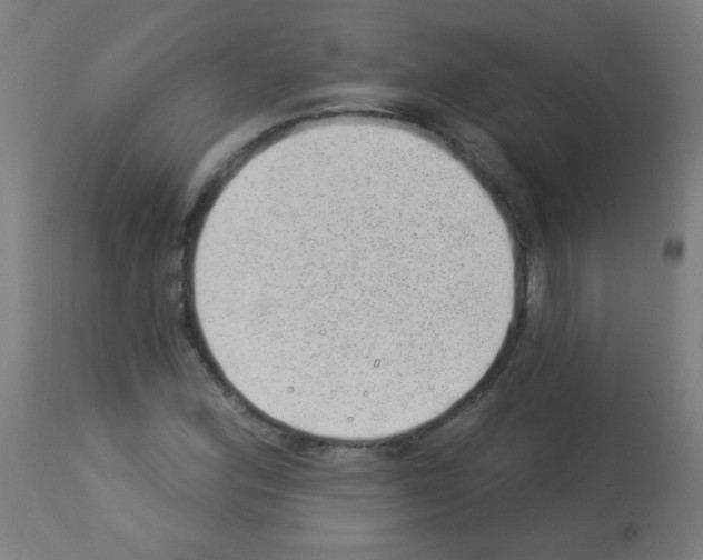 X0000112981164200910081103