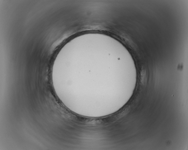 X0000112981165200910081103