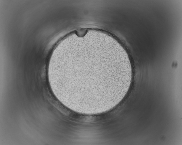 X0000112981167200910081103