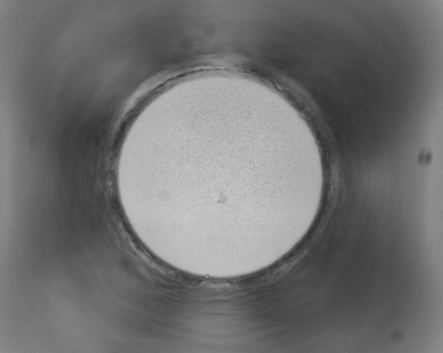 X0000112981168200910081103