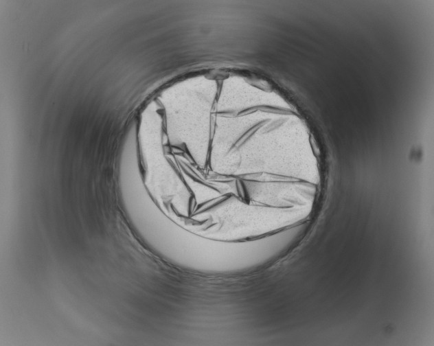 X0000112981169200910081103