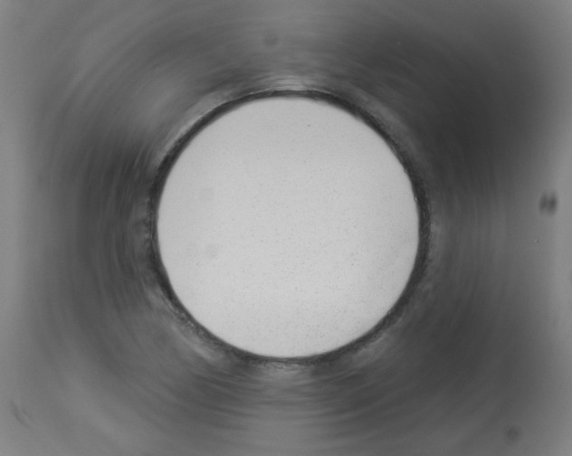 X0000112981170200910081103