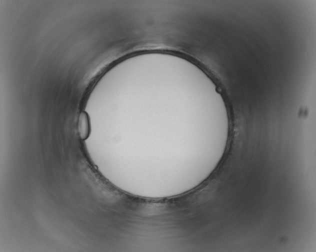 X0000112981173200910081103