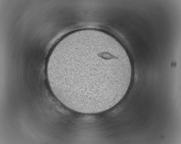 X0000112981174200910081103