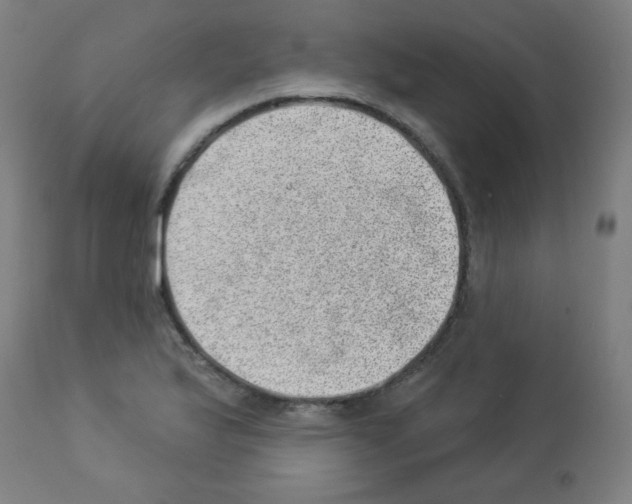 X0000112981175200910081103
