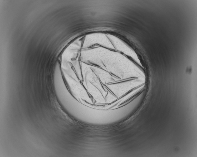 X0000112981177200910081103