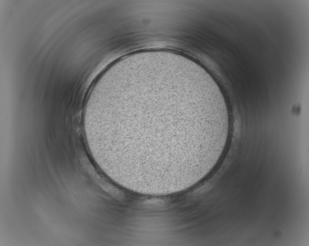 X0000112981178200910081103