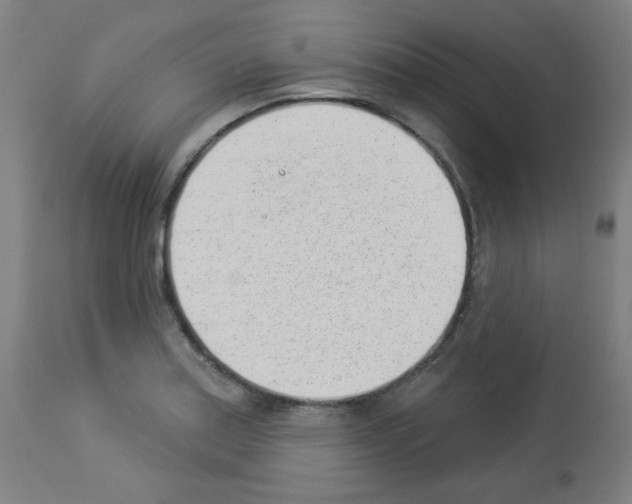 X0000112981179200910081103