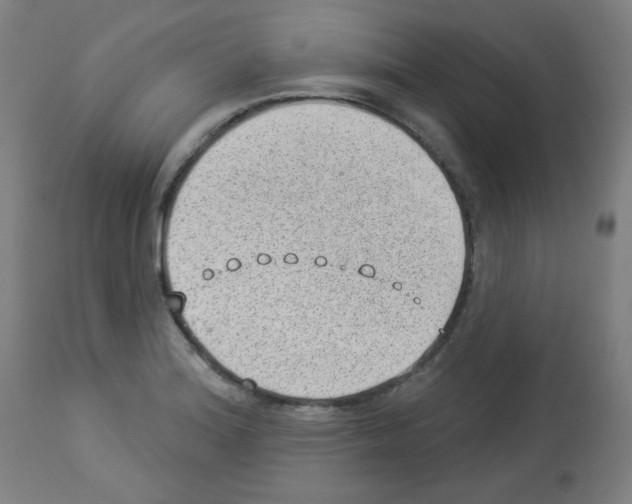X0000112981180200910081103
